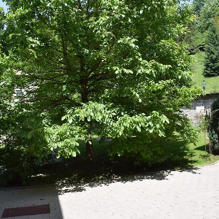 Fruehstueckspension Josefinum Bad Aussee Exterior photo